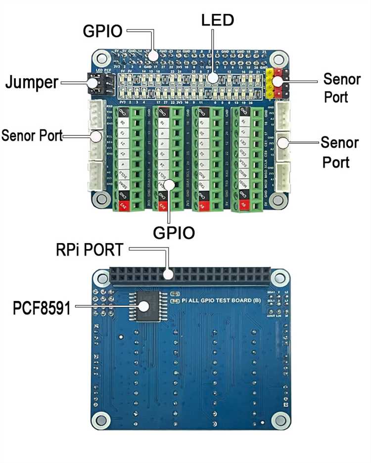 Руководство по использованию GPIO-портов Raspberry Pi