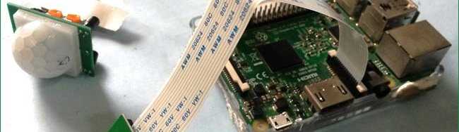 Как использовать материнскую плату Raspberry Pi для создания системы DIY-автополива