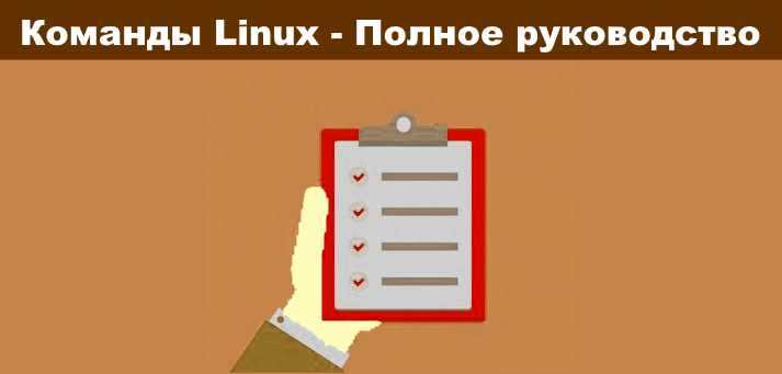 Основные команды Linux для работы с Raspberry Pi: полное руководство